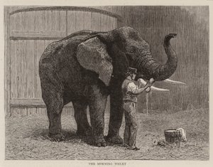 Zwerftochten in de Dierentuin